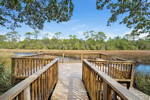 A wooden boardwalk leading to a body of water, surrounded by dense trees and marshland. - 🚲Willow & Waves | Golf Cart, 4 Bikes, Pool, Near Beach🏊 (Inlet Beach)