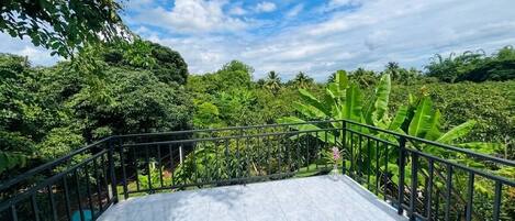 A balcony with a view of dense greenery and a clear sky.
