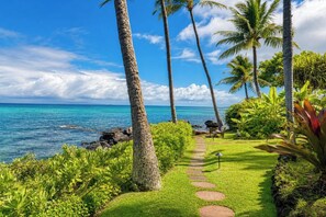 Un jardín tropical con un sendero de piedra que lleva a un banco frente al océano.