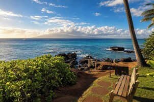 A coastal pathway with a bench, lush greenery, and a view of the ocean.