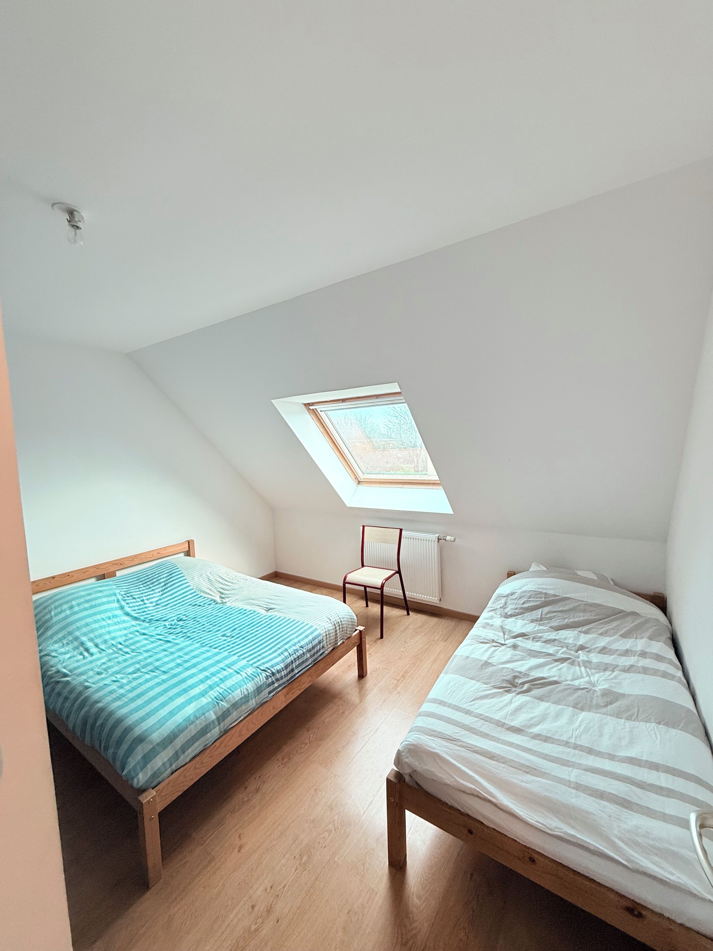 En lille lejlighed med et enkelt værelse, to senge, et ovenlysvindue og en radiator.