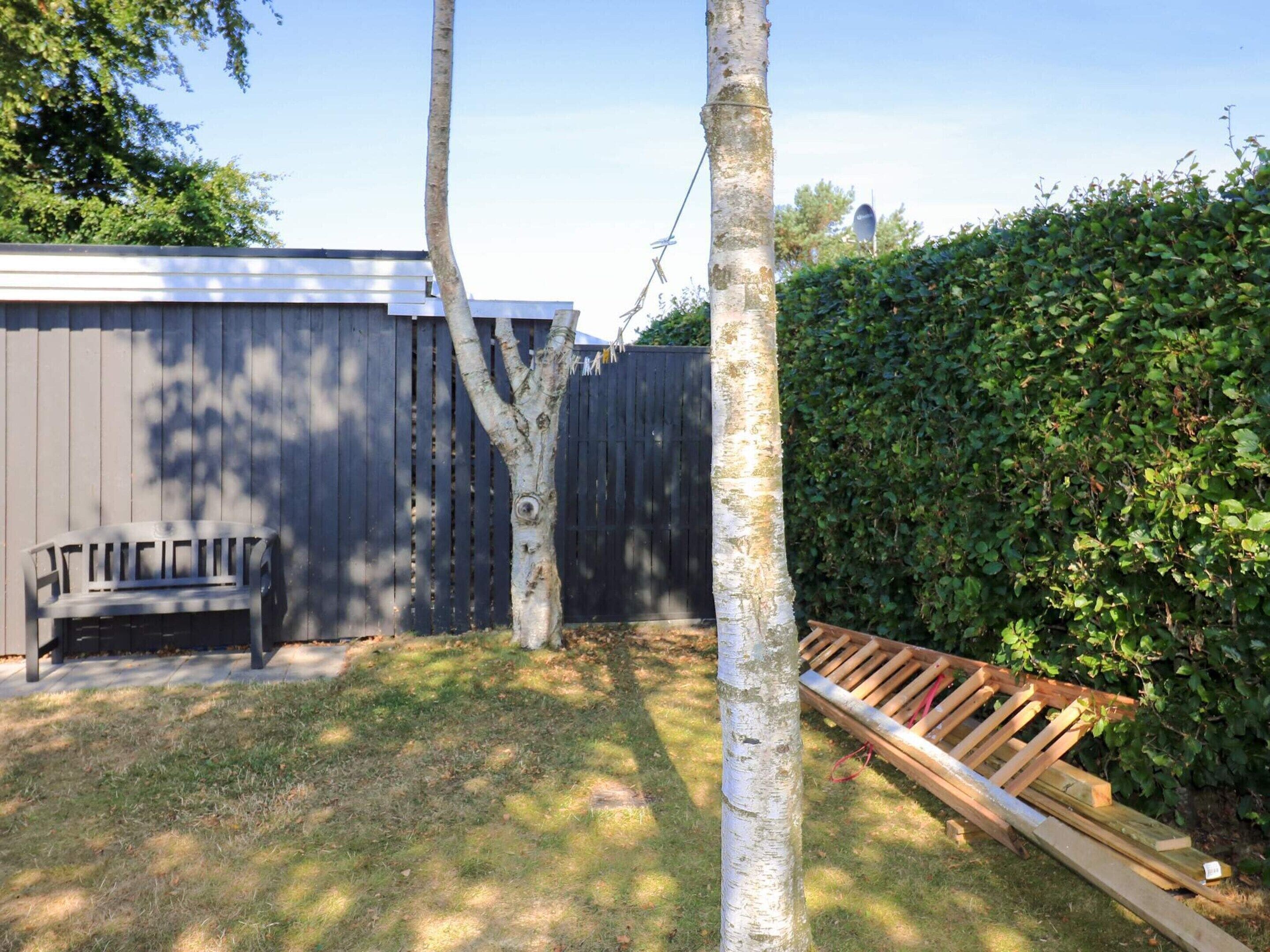 A backyard with a wooden bench, a tree, a fence, and a hedge.
