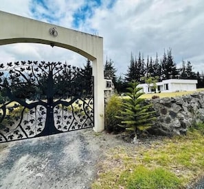 A gated entrance with a tree design, a stone wall, and a small coniferous tree.