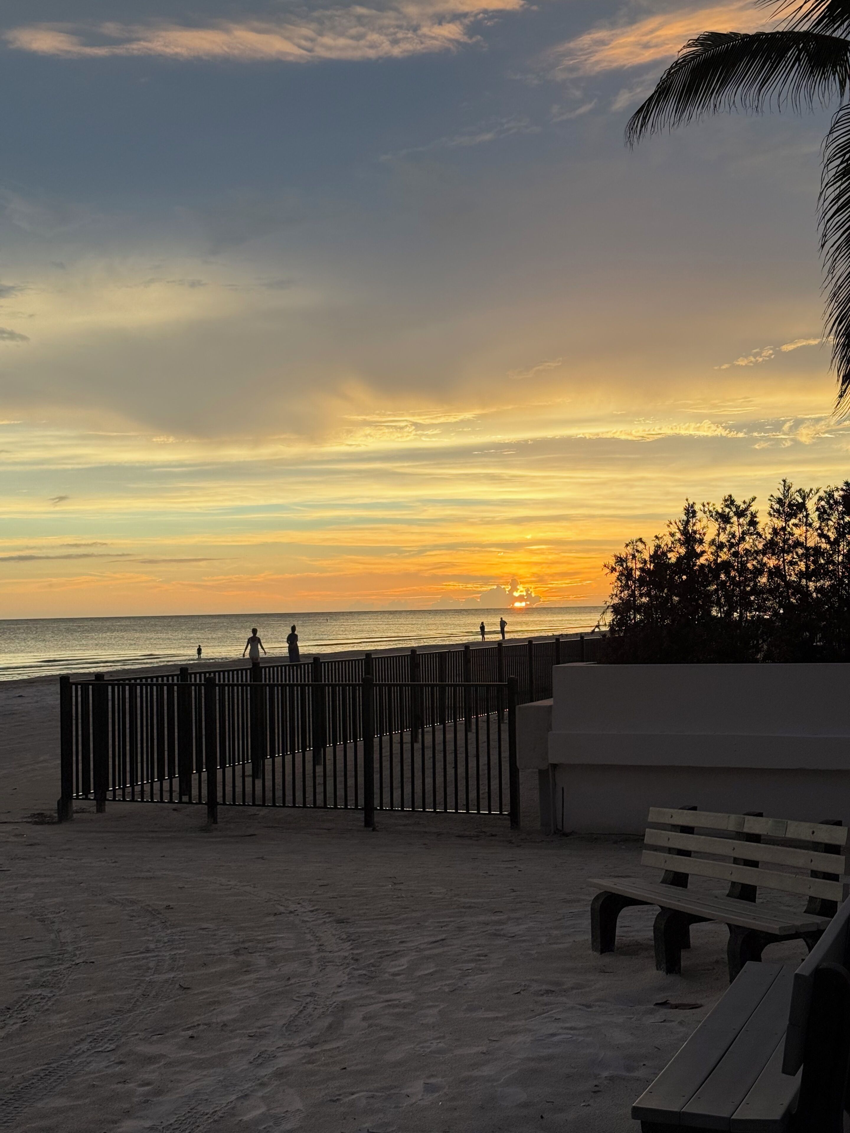 Ein Strand mit einer Holzlattenverkleidung, einer Bank und einer Palme.