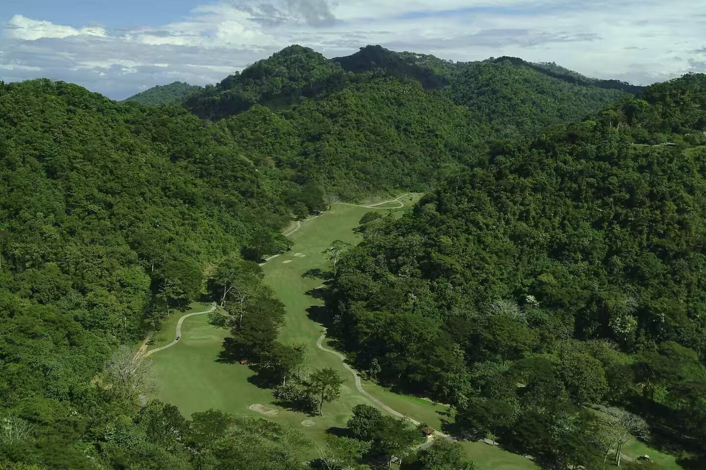 A lush green valley with a winding path surrounded by dense forest and hills.