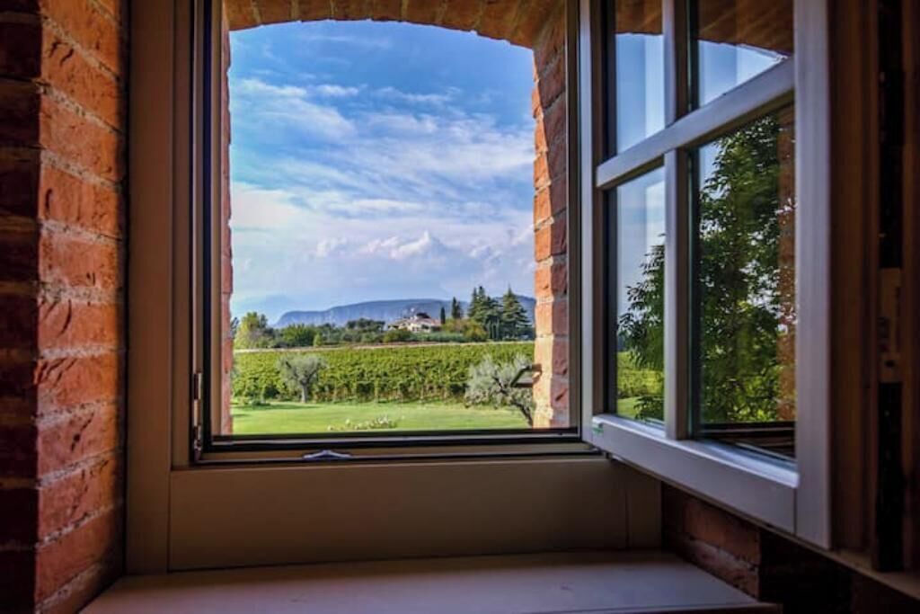 Ein Fenster mit Blick auf einen Weinberg und die Ferne.