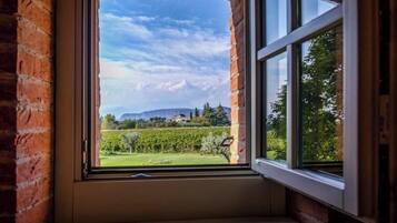 Ein Fenster mit Blick auf einen Weinberg und die Ferne.