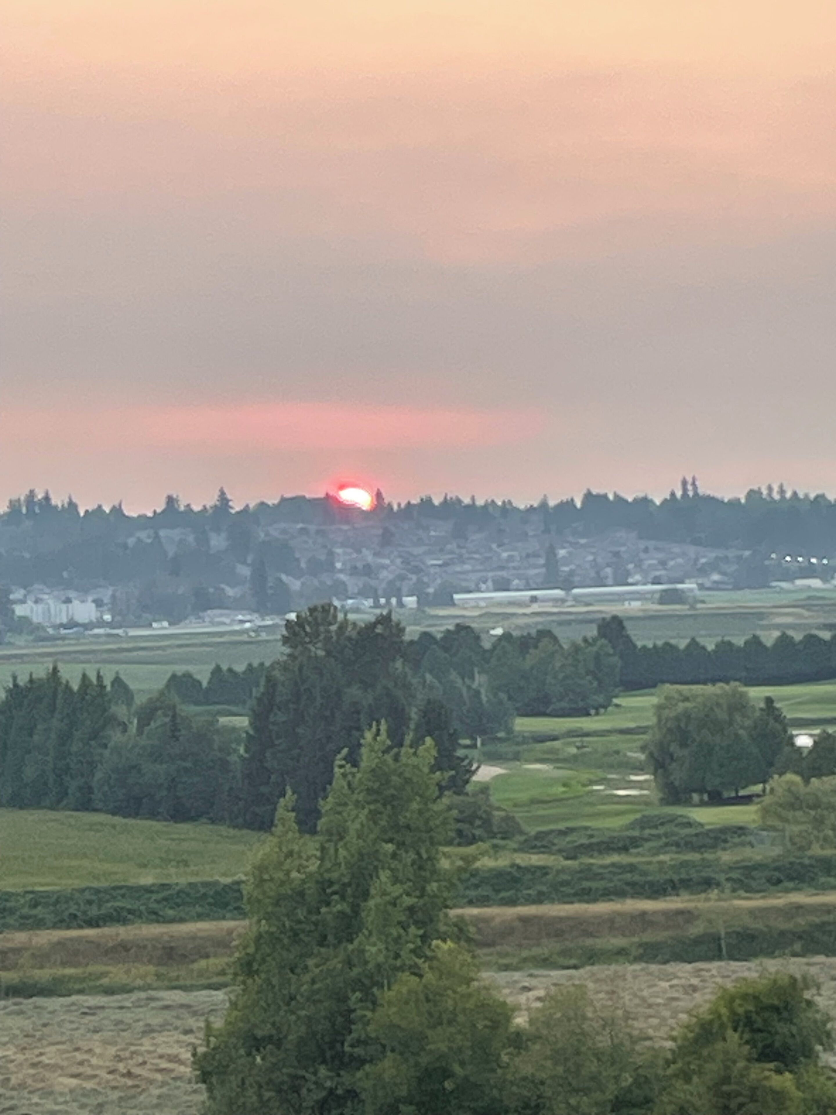 A landscape with a sunset, trees, and a distant town.