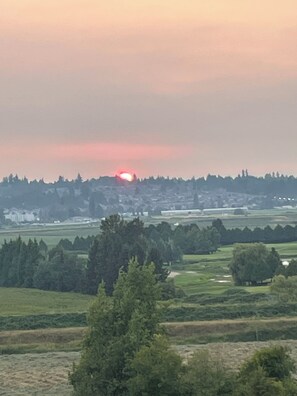 Eine Landschaft mit Sonnenuntergang, Bäumen und einer in der Ferne liegenden Stadt.
