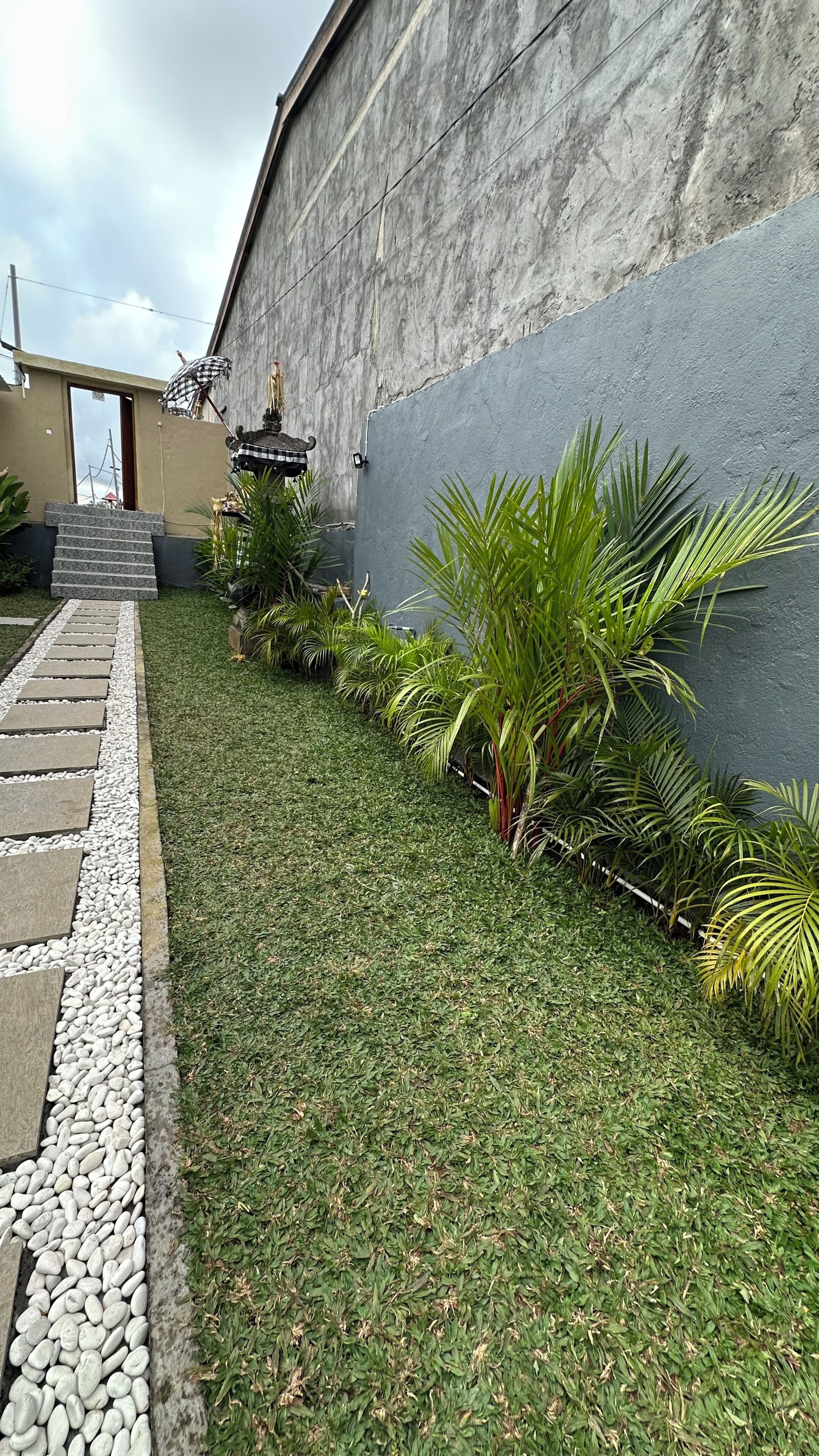 A landscaped garden with a pathway, palm plants, and a concrete wall.