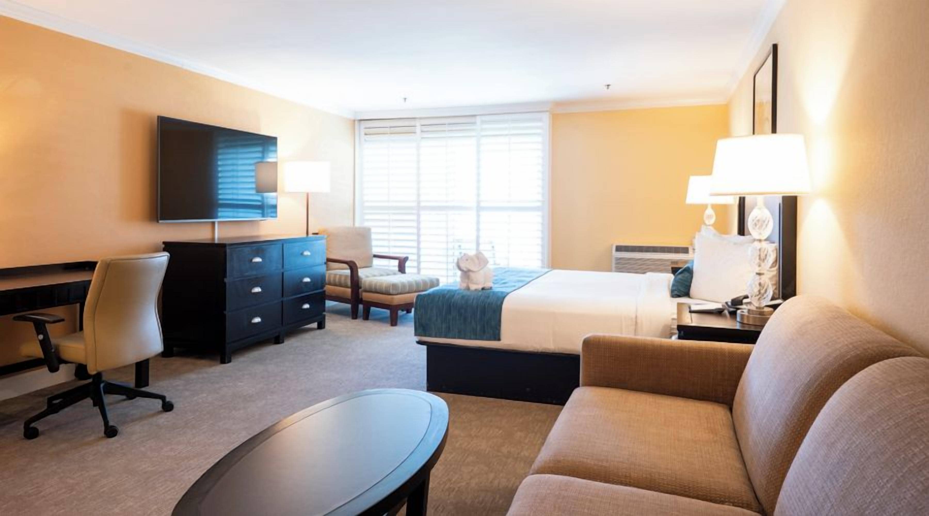 A hotel room with a bed, a desk, a chair, a sofa, a TV, and a window with blinds.