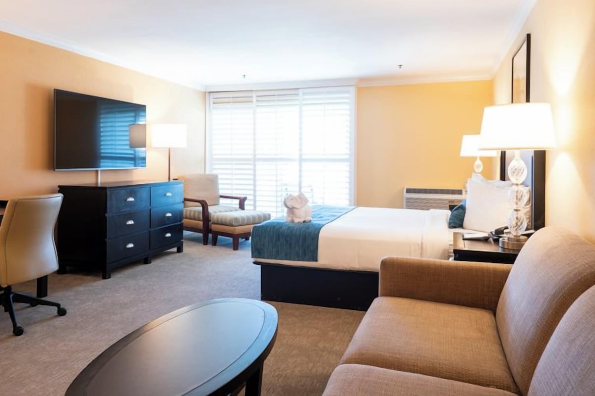 A hotel room with a bed, a desk, a chair, a sofa, a TV, and a window with blinds.