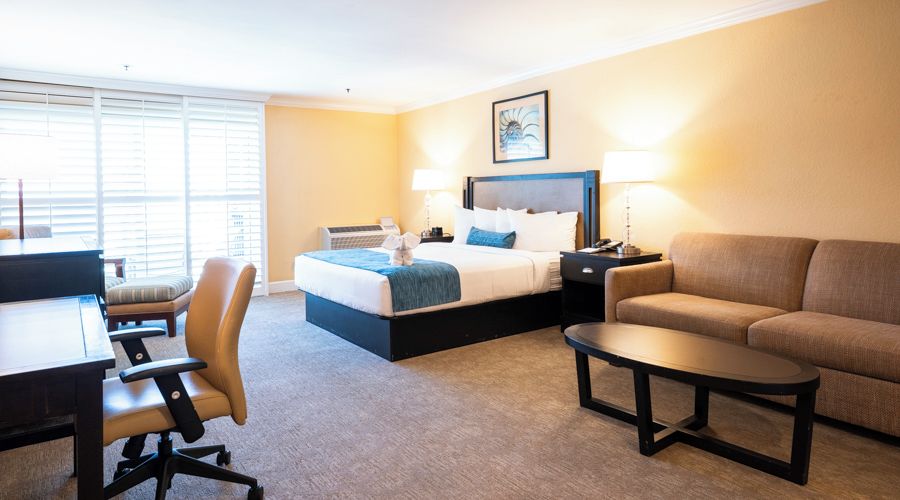 Une chambre d’hôtel comprenant un lit, un bureau, une chaise, un canapé et une petite table.