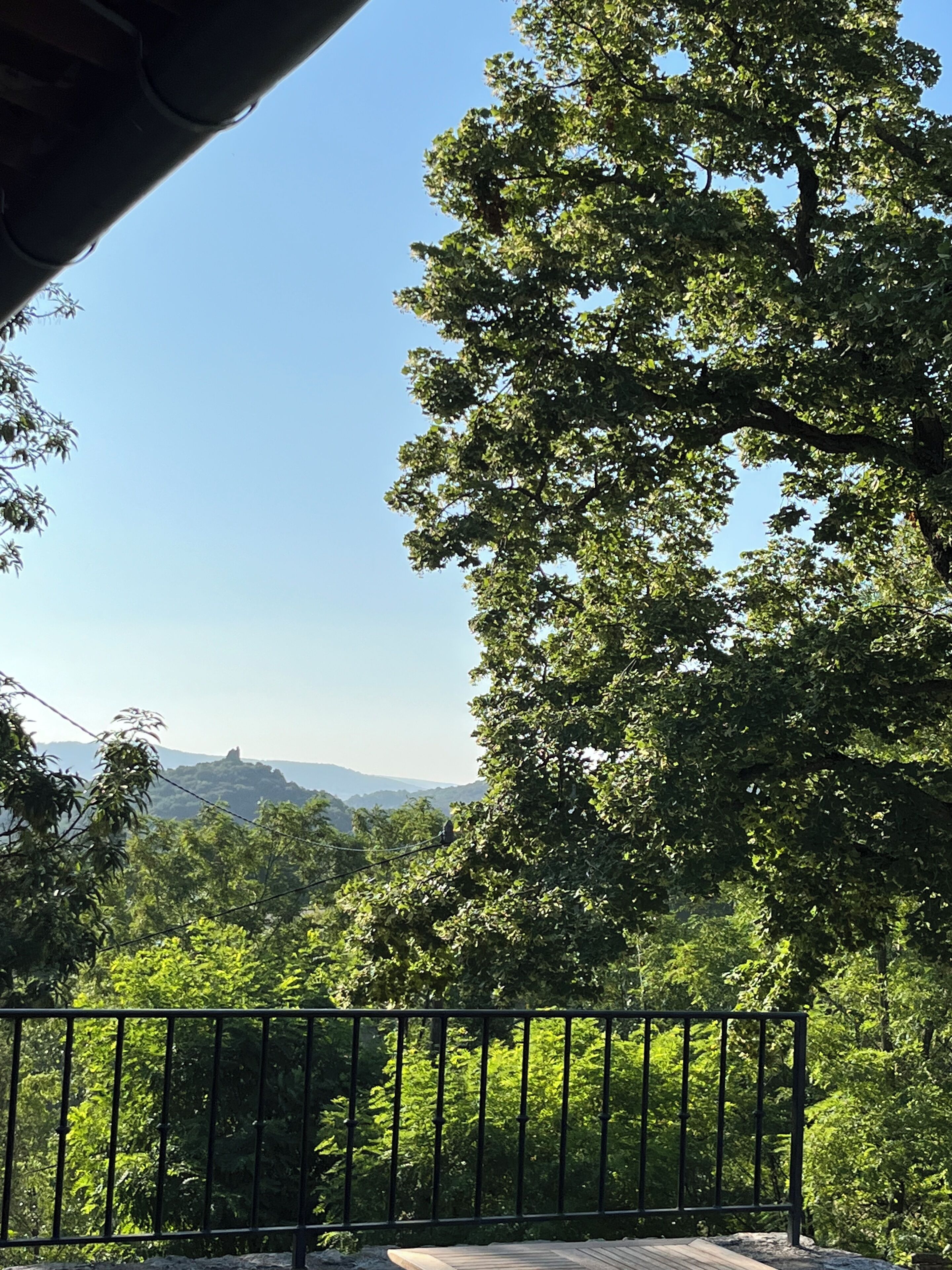Un balcon offrant une vue sur un paysage montagneux et une végétation luxuriante.