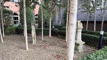 Jardín
