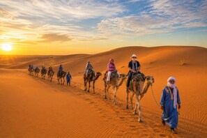 A group of people riding camels across a desert landscape during sunset. - Luxury Desert Tented  (Merzouga)