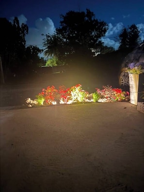 Un espacio al aire libre de noche con suelo pavimentado, una fila de plantas florecientes y una carretilla.