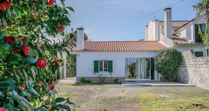 New Management! with Private Parking, Centrally located, and Serene