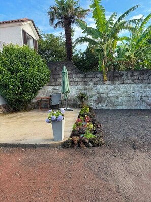 Un patio con piso de concreto, pared de piedra, una palmera y un pequeño jardín con flores y plantas.