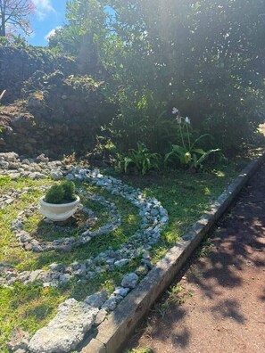 A garden with a circular stone border, a potted plant, and a variety of greenery.