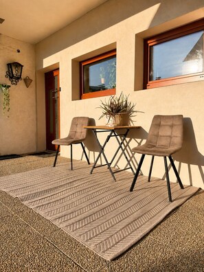 A modern outdoor seating area with a table and two chairs, a potted plant, and a textured rug on a patio with a door and windows.