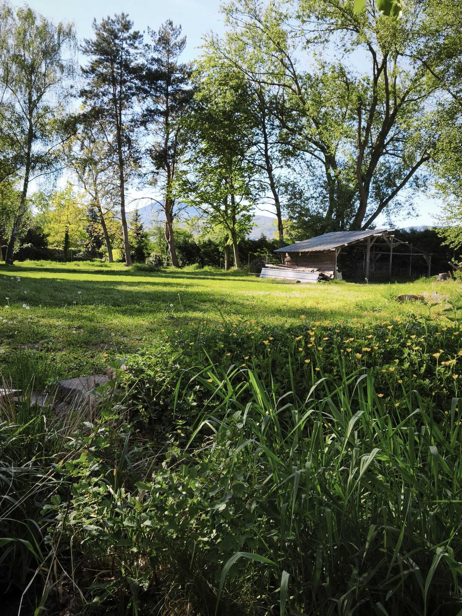 A grassy field with a wooden structure, possibly a cabin or shed, surrounded by trees and a mountain in the background.