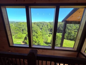 Eine Holzhütte mit Blick auf einen dichten Wald durch große Fenster.