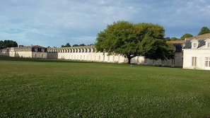 Ein großes, weißes Gebäude mit einer symmetrischen Fassade und einer zentral platzierten Baumkrone.
