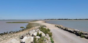 A coastal road with a sandy path leading to a beach, bordered by rocks and vegetation. - "Le Bellem" – Rochefort, near the town center (Rochefort)