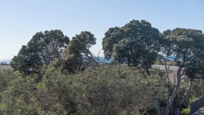 Eine natürliche Landschaft mit Bäumen und blauem Himmel.