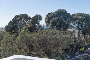A natural landscape with trees and a clear sky. - Bayview Cottage Serene Escape between Beach and Bay (Blairgowrie)