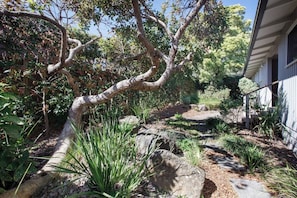 Ein Garten mit einem großen Baum, Steinen und verschiedenen Pflanzen.