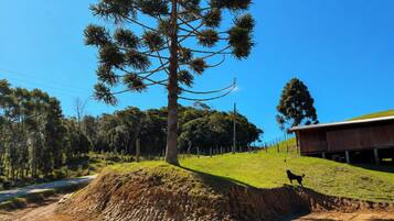 A rural landscape with a dirt road, a large tree, a fenced area, and a wooden building.