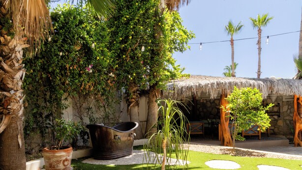 A tropical garden with a thatched-roof structure, a variety of plants, and a gravel pathway. - Cabo San Lucas Castle · Rooftop Sea Views (Cabo San Lucas)