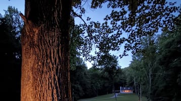 A tree with a well-lit trunk and a grassy area with a house in the background.