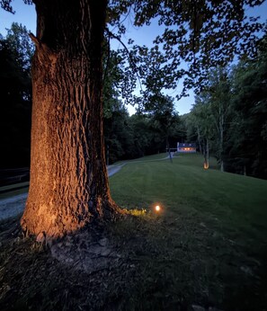 A tree with a well-lit trunk and a grassy area with a house in the background.