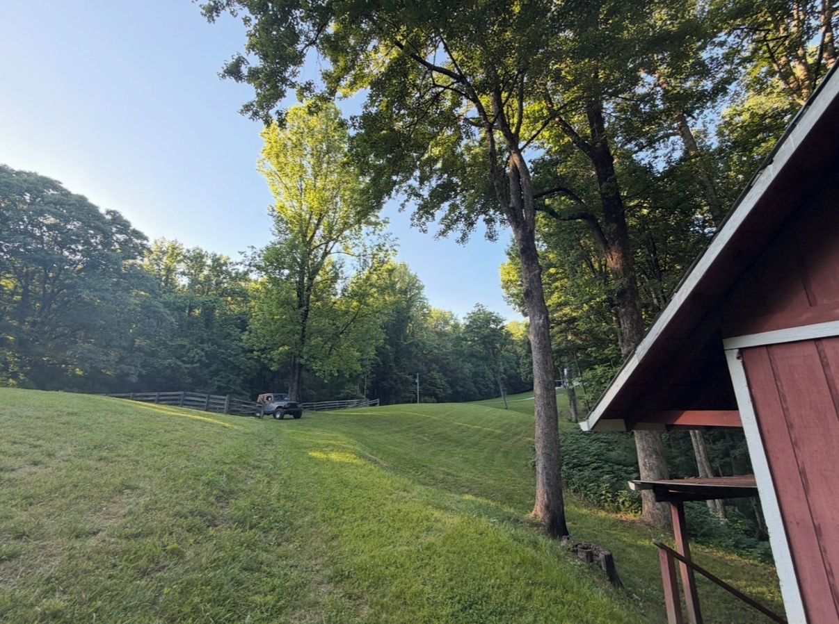 A grassy field with a wooden structure and trees in the background.