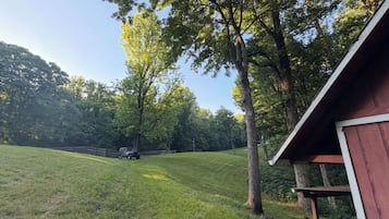 A grassy field with a wooden structure and trees in the background.