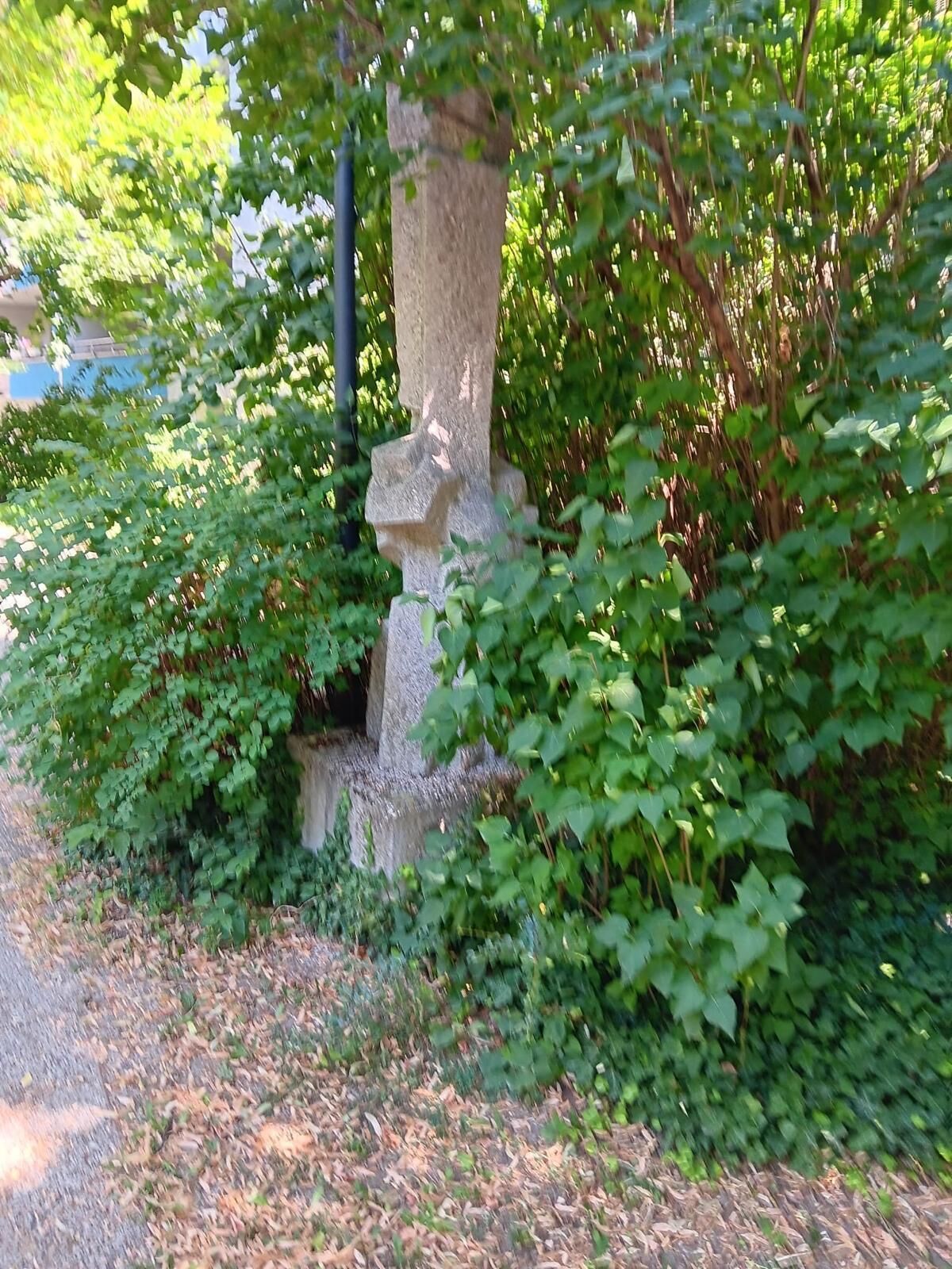 Un pilar de piedra rodeado de frondosa vegetación verde.