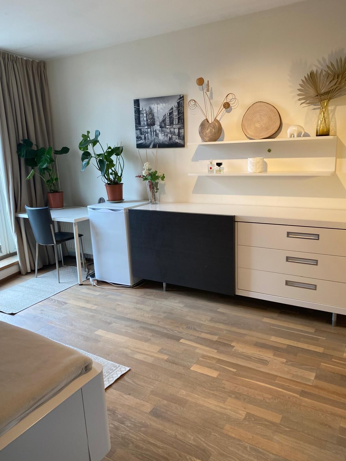 A modern kitchen with a dining area, wooden flooring, and a potted plant.
