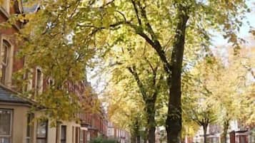Eine von Bäumen gesäumte Straße mit parkenden Autos und Gebäuden an beiden Seiten.