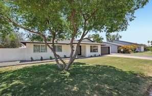 Exterior - The Cove: Poolside Getaway near PV & Camelback (Phoenix)