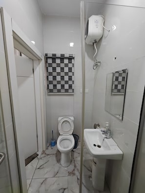 A bathroom with a toilet, a sink, and a shower area.