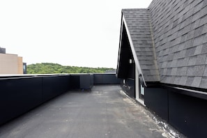 A rooftop with a flat surface, a dark roof, and a view of a green landscape in the background.