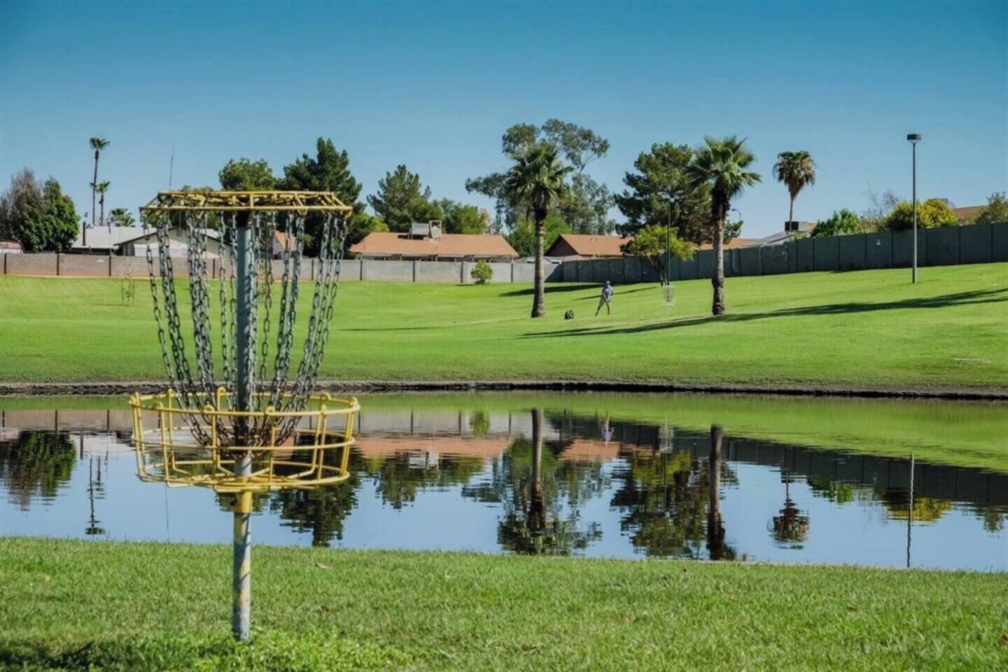 A disc golf course with a pond, green grass, and trees in the background.