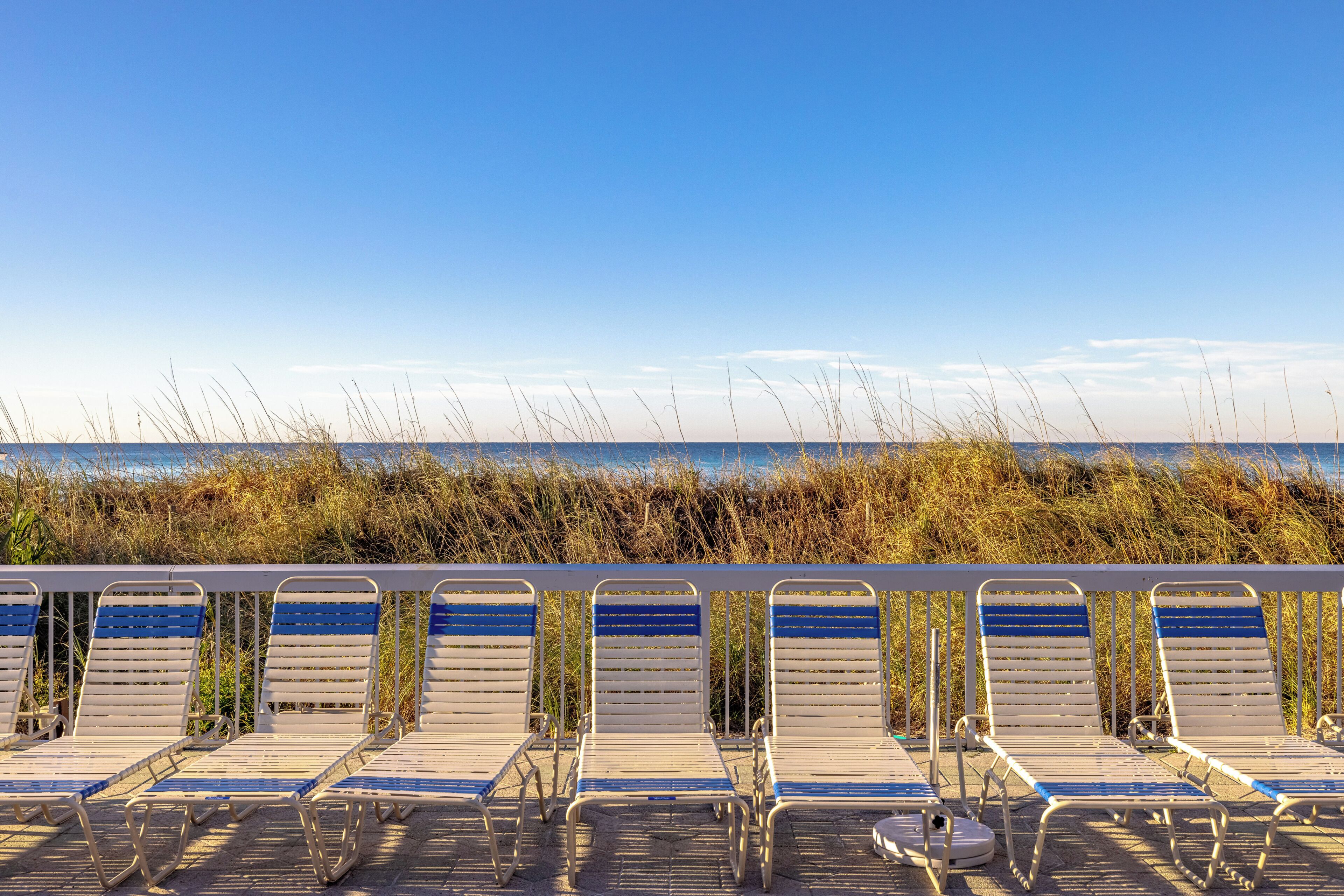 A row of beachside lounge chairs with a view of the ocean and tall grasses in the background.