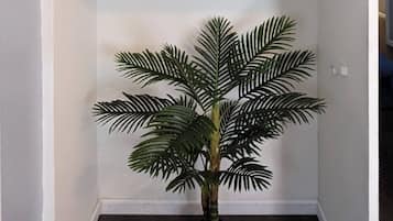 A corner closet with shelves labeled 'OCEAN SEA Beach' and a potted palm plant.