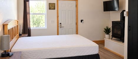 A bedroom with a bed, a television, a fireplace, and a door.