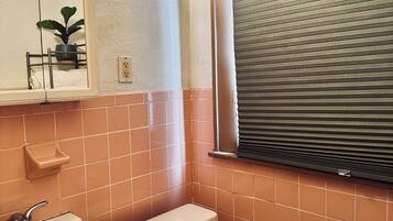 A bathroom with a sink, toilet, and a mirror.