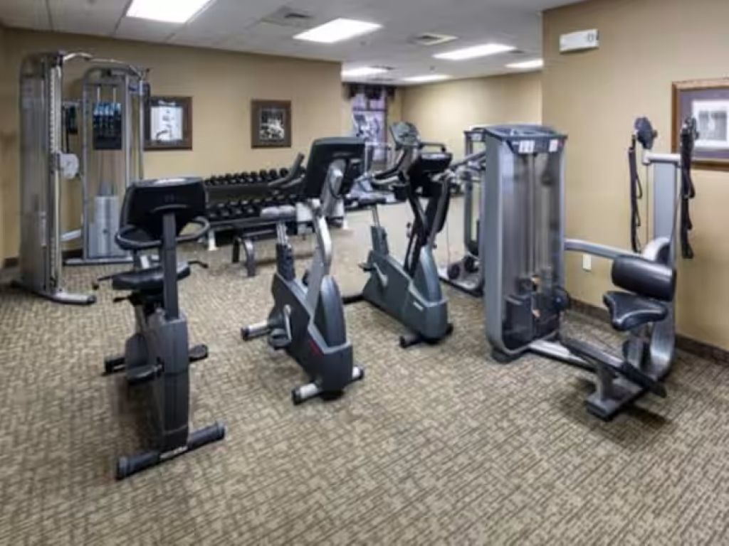 Uma academia com diversos equipamentos de ginástica, incluindo esteiras, bicicletas ergométricas e aparelhos de musculação.